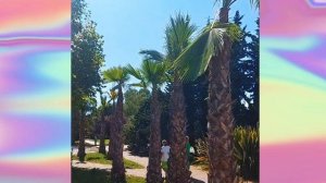 Запах ЛЕТА 🏖🐬🌞