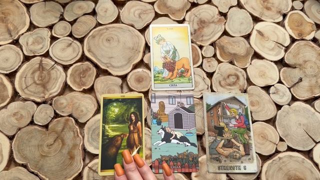 Урок Аркан Сила открытый урок из моего курса