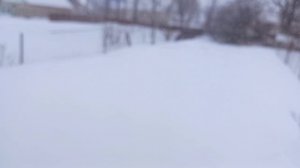 Зима не хочет уходить