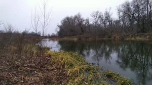 Весна-2022 Год