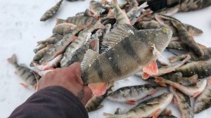 ловим ОКУНЯ в -33.ЭКСТРЕМАЛЬНАЯ ночевка В АВТО