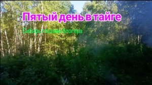 Рыбалка, день пятый.