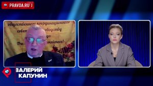 Мёд на чужих крыльях: зависимость от завозных пчёл стала слишком липкой