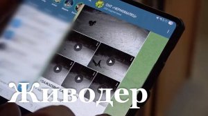 В Луганске задержали мужчину, натравившего своего пса на бездомных щенков