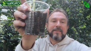 ДАЙТЕ РАССАДЕ ВКУСНОЕ! Лучшая подкормка для любой рассады от вытягивания. Так рассада станет толще!