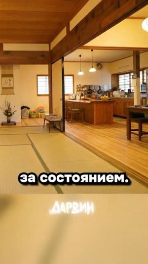 Шутка минутка