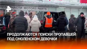 В Смоленске продолжаются поиски девочки, пропавшей во время прогулки с собакой