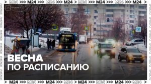 Плюсовые температуры ожидаются в Москве в начале марта
