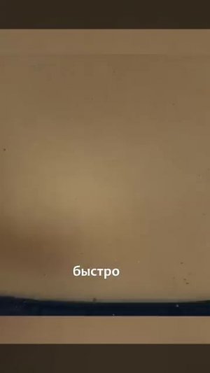 стареют в 7 раз быстрее на этом пляже