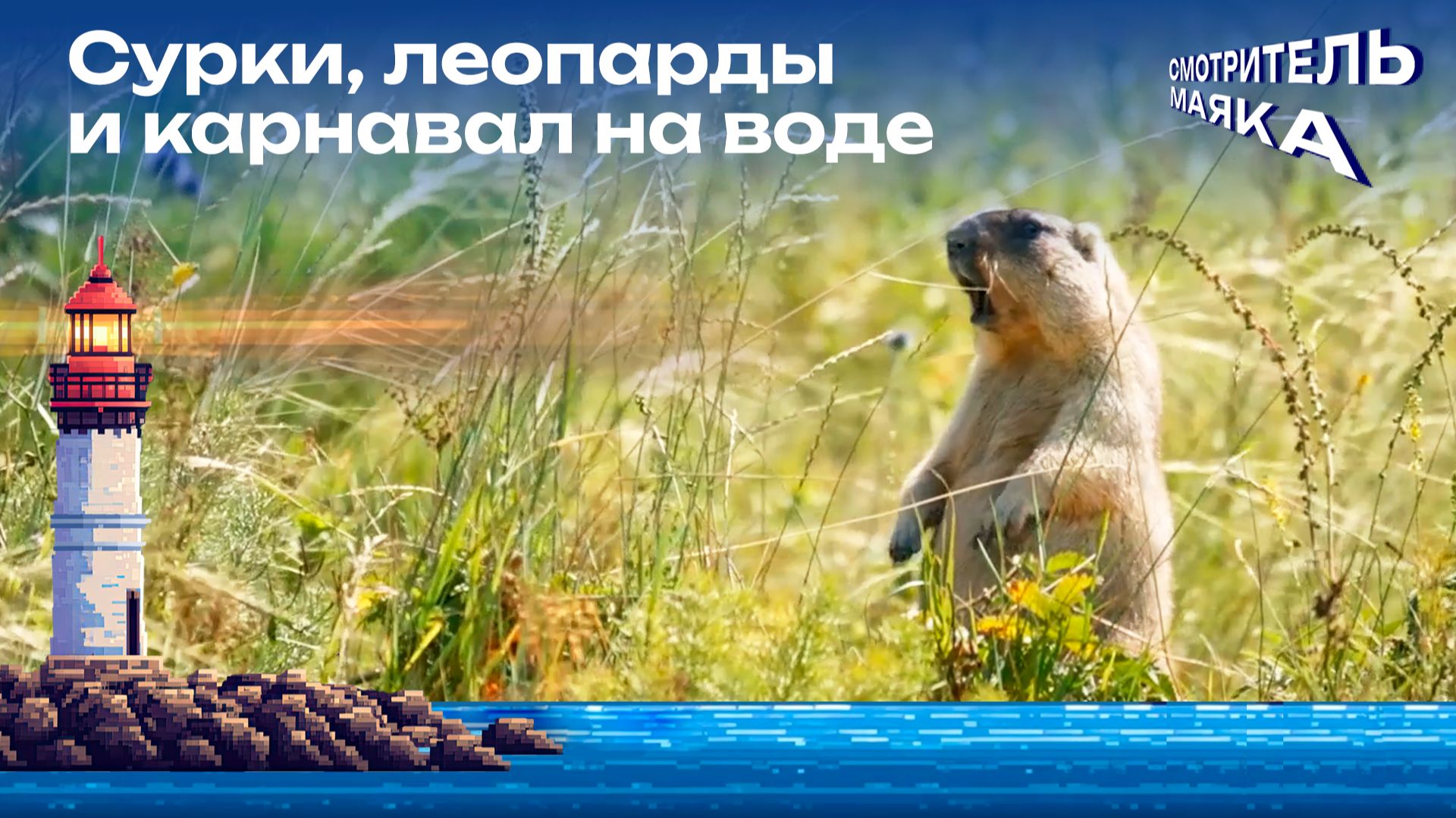 Сурки, леопарды и карнавал на воде | Смотритель маяка с Романом Маякиным