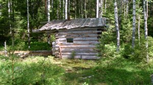 Природа России июль