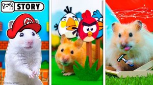 Самая крутая подборка коротких роликов с хомяками #1 🐹 Хомяк Хомура