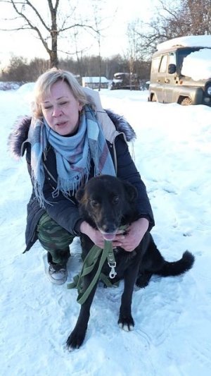 Девайс — весёлый пёс‑помощник из деревни Дивасы ищет дом!