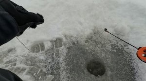 Первый выход на лёд в Карелии ...