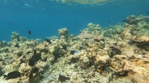 Eriyadu Island Resort. 2023.