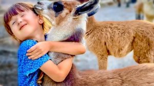 ВЕСЕЛО! Ангелина ПОДРУЖКА всех лам, а Каролина знакомится с козами на каруселях!