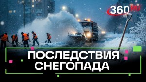 «Хрустальный лед» в Пушкино и уроки мужества в Химках: Главное в Подмосковье