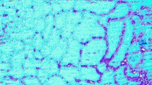 أراضي نوويه الأراضي الحمراء كلام صوتي