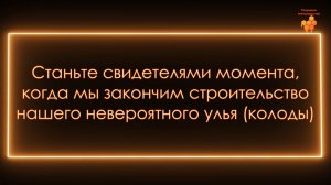 Колода для пчел из бревна дуба