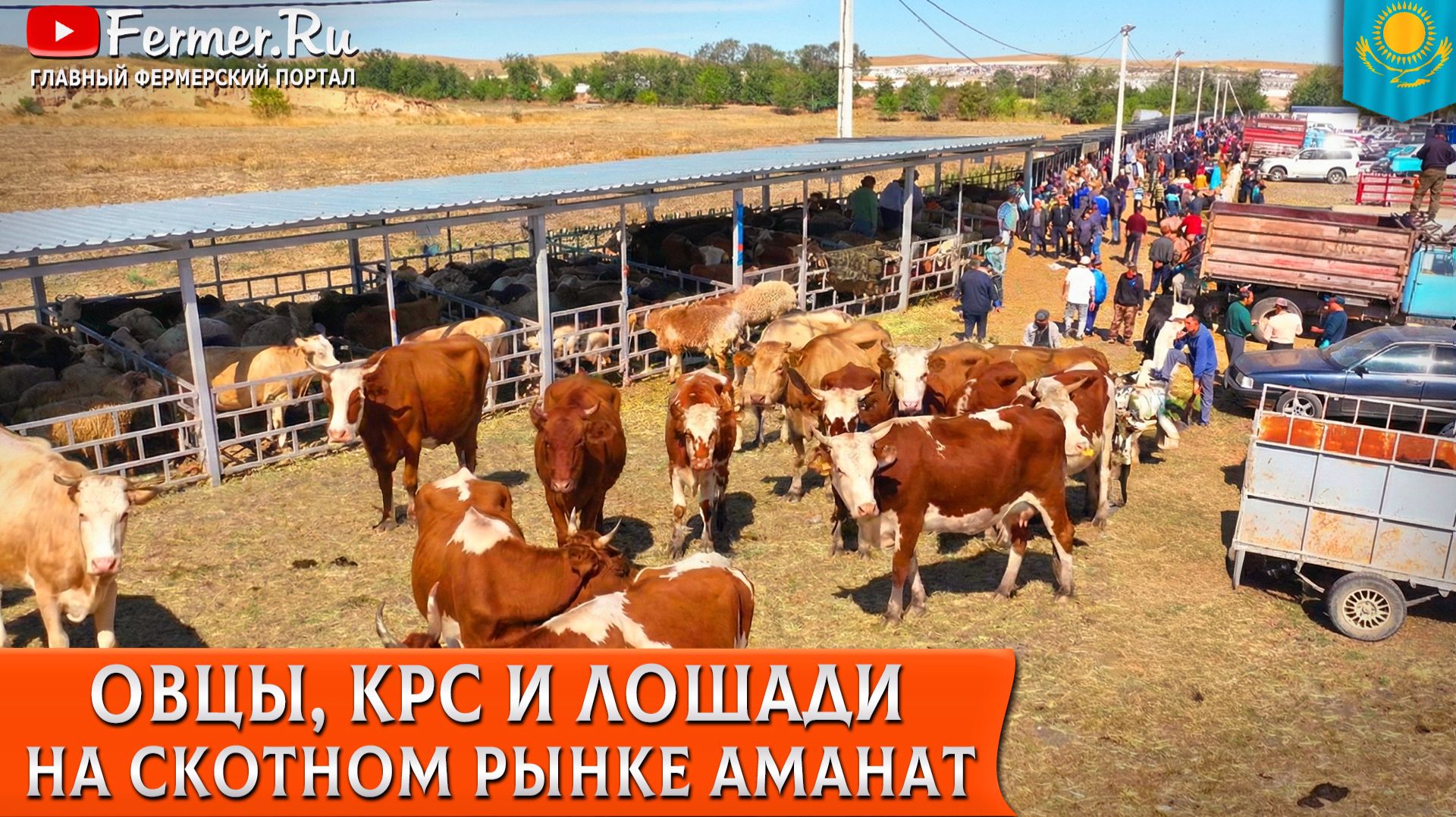 Крупнейший скотный рынок Алматинской области Аманат. Мал базар в Узынагаше. КРС, МРС, лошади и дыни!