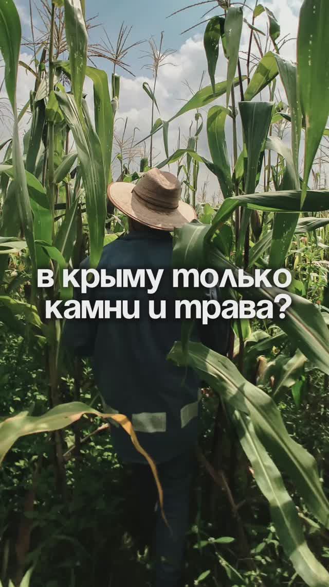Что можно выращивать в Крыму? | Крымский Гектар