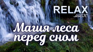 🌿 RELAX I Волшебный лес — музыка для сна: Пение птиц и ручей для глубокого расслабления