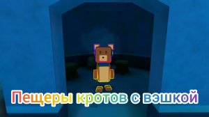 Показываем где спрятанны 8 сундуков в пещере кротов