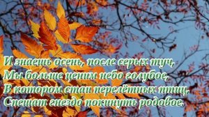 Стих. А знаешь осень,я люблю дожди...