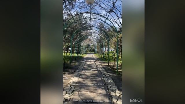 «Самшитовая роща» - санаторий в Абхазии, курорт Пицунда смотреть онлайн