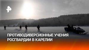 Росгвардейцы проводят масштабные противодиверсионные учения в Карелии