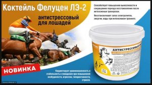 Сбалансированные корма и кормовые добавки Фелуцен в кормлении лошадей