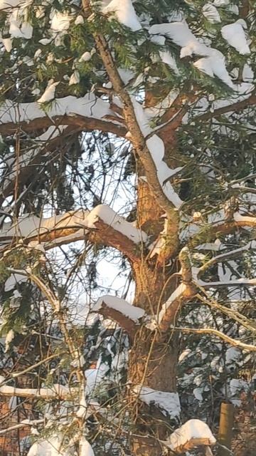 Зимушка — зима!!!