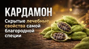 Кардамон: скрытые лечебные свойства самой благородной специи