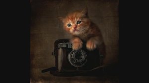 Знакомство с творчеством  Наталья Кузнецова (Nateletro)