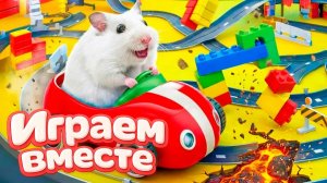 ХОМЯК ВЫБИРАЕТСЯ ИЗ СЕКРЕТНОЙ ХОМЯЧЕЙ ТЮРЬМЫ ! Играем ВМЕСТЕ 🛻 Помогаем выбраться из лабиринта
