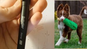 Рисую бумажные собаку!💗🐶