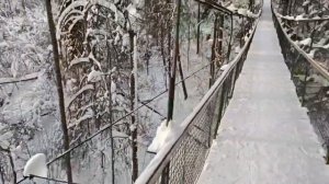 Дорохово_зимний подвесной мост в овраге