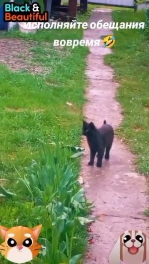 Всегда выполняйте обещания🐶🐱😅