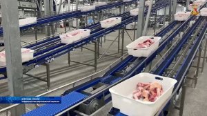 В министерстве сельского хозяйства Воронежской области рассказали об объёме произведённой продукции