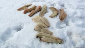 Удивительная история замороженных продуктов