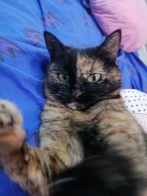 ем кислые конфеты