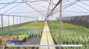 Информационный выпуск Майкопского телевидения 24.02.2026 г.