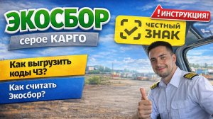 ЭКОСБОР РАСЧЕТ ДЛЯ КАРГО КАК ВЫГРУЗИТЬ В ЧЕСТНОМ ЗНАКЕ