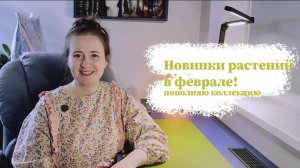 Распаковка растений в феврале | Новые алоказии и не только!