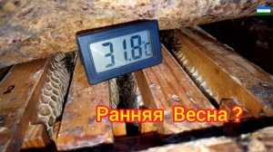 Ранняя Весна ?