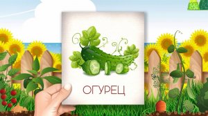 Учим овощи по карточкам