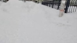 БЛОГЕРЫ КАК БЕЗДОМНЫЕ ЖИВОТНЫЕ, ЗАВИСЯТ ОТ ОКРУЖАЮЩИХ ЛЮДЕЙ