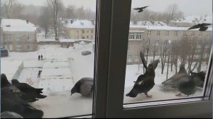 Я В БОЛЬНИЦЕ,,,МОИ НОВЫЕ ДРУЗЬЯ,,, СТАРЫХ ПРОШУ МЕНЯ НЕ ТЕРЯТЬ