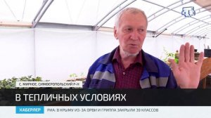В школах Крыма откроют 5 агротехнологических классов