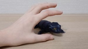 новости +абустраеваем домик для 3д ящерок 😃